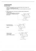 Samenvatting Examen Gezondheidsopvoeding 1a (GZO1A)