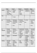 Die Bestandteile der Luft/ Steckbrief über Stickstoff,Sauerstoff,Wasserstoff,Kohlenstoffdioxid,Edelgase