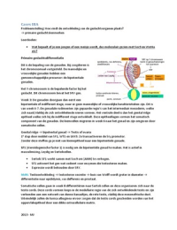 Cases 3: Ontwikkeling geslachtsorganen