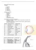 Samenvatting dierenartsassistente anatomie zintuigen