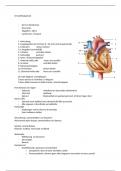 Samenvatting dierenartsassistente anatomie circulatie en respiratie