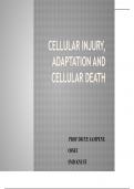 CELLULAR INJURY, ADAPTATION AND CELLULAR DEATH