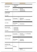 Samenvatting + schema strategieën en designs