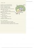 Lernzettel Neurobiologie Erweiterung  und Ökologie 