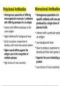 Polyclonal VS Monoclonal Antibodies