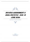 INC4802 Assignment 2 2024 (897573) - DUE 18 June 2024