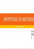 Group D - Apoptosis vs Necrosis.