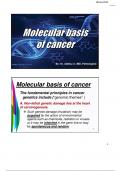 8.1 Molecular basis of cancer