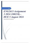 ENG2613 Assignment 3 2024 (300218) - DUE 5 August 2024