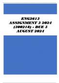 ENG2613 Assignment 3 2024 (300218) - DUE 5 August 2024