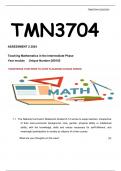 TMN3704 ASSIGNMENT 2 2024