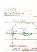 Organic Chemistry revision notes GCSE 