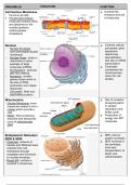 Summary of Eukaryotic Cell Ultrastructure -  Unit 2 - Cells