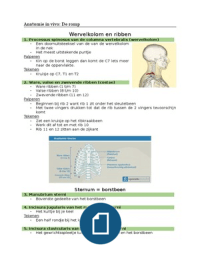 Anatomie in Vivo 1.1