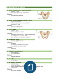 Anatomie in Vivo 1.2