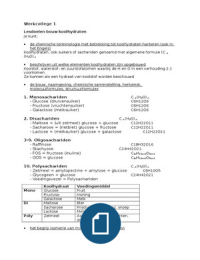 Bundel Blok 1.2 Voeding en Diëtetiek