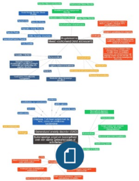 Pedagogische Wetenschappen, Emotional and Behavioral Disturbances: Mindmaps bij het boek: wicks-nelson, r.,