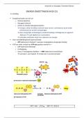 Samenvatting Anatomie en fysiologie Hoofdstuk 6: Energieomzetting in de cel