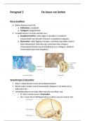Biologie - hoofdstuk 4 - paragraaf 2 - de bouw van botten - samenvatting