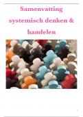 Samenvatting -  Systemisch denken en handelen