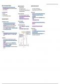 Chapter 11 & 21, Measurements & Data Processing (IB Chemistry)