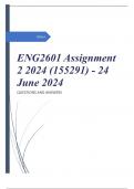 ENG2601 Assignment 2 2024 (155291) - 24 June 2024