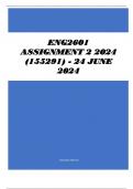 ENG2601 Assignment 2 2024 (155291) - 24 June 2024