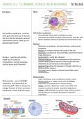 AQA A Level Biology - Cornell Style Notes - Unit 2 - Cells