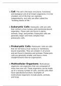 basics of cells