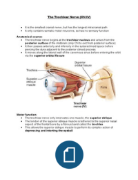 Bundle Doc Image