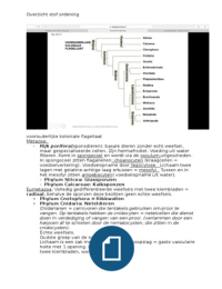 Ordening annelids en anthropoda 