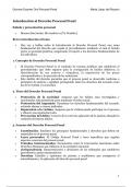 "Guías Esenciales para el Derecho Procesal Penal: Herramientas para Exámenes Orales"