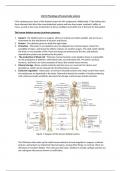 Unit 8 assignment A: Musculoskeletal System 