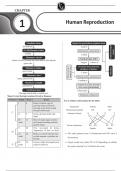 Human Reproduction (shot notes) 