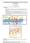 Comprehensive CELL MEMBRANE, MEMBRANE TRANSPORT, BODY FLUIDS, & IONIC BASIS  OF EXCITATION SUMMARY