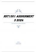 NST1501 Assignment 3 2024