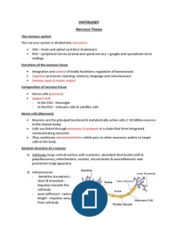 Nervous Tissue