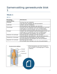 Geneeskunde blok 1