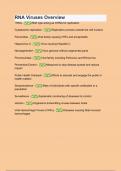 RNA Viruses Overview.