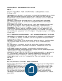 Aansprakelijkheidsrecht Samenvatting  Jurisprudentie (alle tentamenstof)