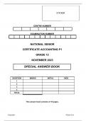Accounting P1 Nov 2023 Answer Book Eng