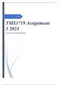 TMS3719 Assignment 3 2024