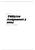 TMS3719 Assignment 3 2024