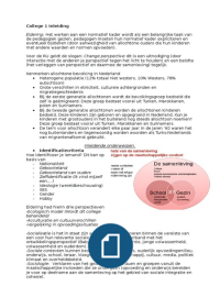 Samenvatting sociale contexten