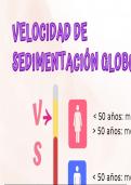 Guía Básica de Hematología