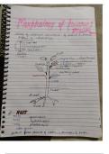 Lecture notes neet ug, class 12th cbse board  NCERT Solutions Biology Class 11th
