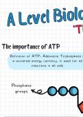 A level Biology Unit 3.1 Importance of ATP