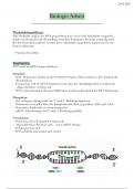 Biologie Grundwissen 10.-11. Klasse Zusammenfassung 
