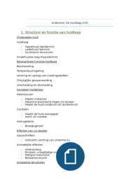 Anatomie H5