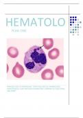 Hematology Study Guide (Year One)